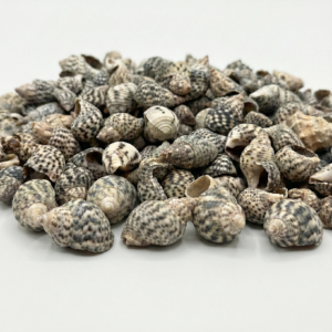 milanbu ultra clear Şeffaf epoksi reçine sistemi a bileşeni (5 kg) düşük viskozite