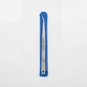 doğal mini salyangoz formlu deniz kabuğu seti